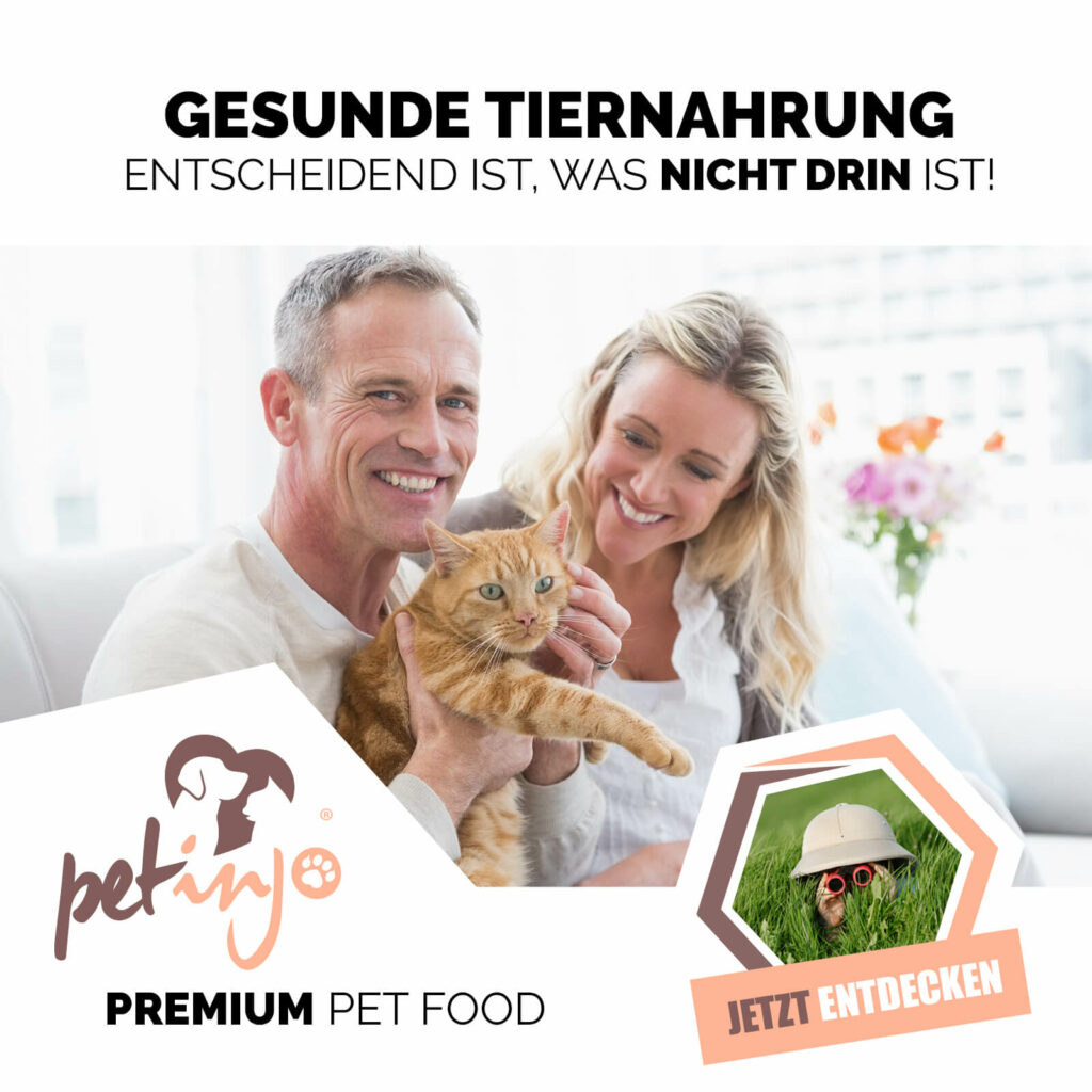 ein glückliches Paar mit einer süßen Katze